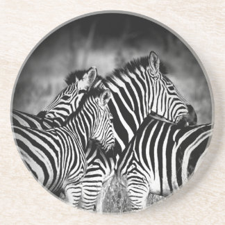 Dazzle of Zebra Coaster