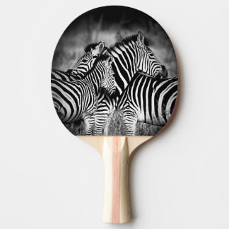 Dazzle of Zebra  Ping Pong Paddle