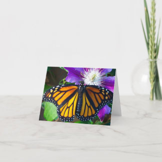 Dazzling Butterfly Note Card