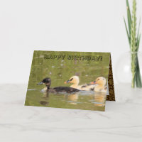 Dazzling Cute Ducks Birthday Card