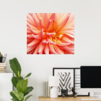 Dazzling Dahlia Flower