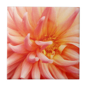 Dazzling Dahlia Flower Tile
