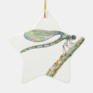 Dazzling Dragonfly on a Branch Ceramic Tree Decoration