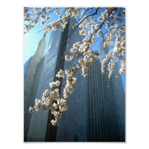 DC Temple Photo Print