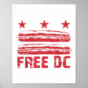 Dc The Sandwich Guy Free Dc, Dc Flag Sub Sandwiche Poster