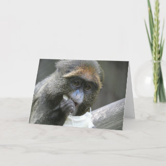 De brazza monkey card