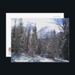 De Havilland Beaver Floatplane Postcard<br><div class="desc">Newly-fallen snow on a bright sunny day on Rapid Lightning Road near Sandpoint, Idaho. Customise by adding your own text. The road takes its name from Rapid lightning Creek, along which it runs. Rapid Lightning Creek runs from Mt. Pend Oreille in the Kaniksu National Forest. This is a beautiful area...</div>