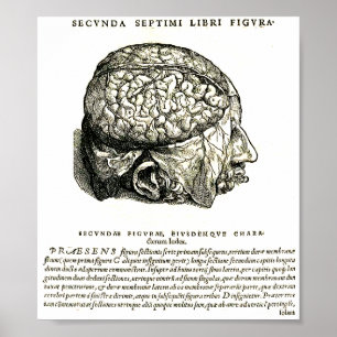 De Humani Corporis Poster