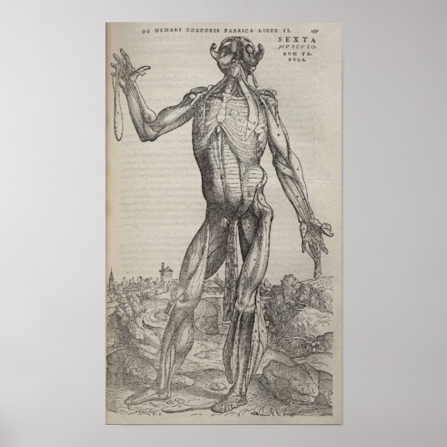 De Humani Corporis Poster (Front)