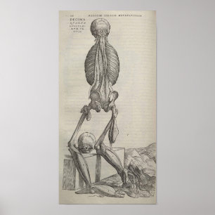De Humani Corporis Poster
