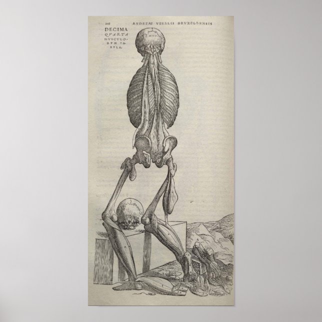 De Humani Corporis Poster (Front)