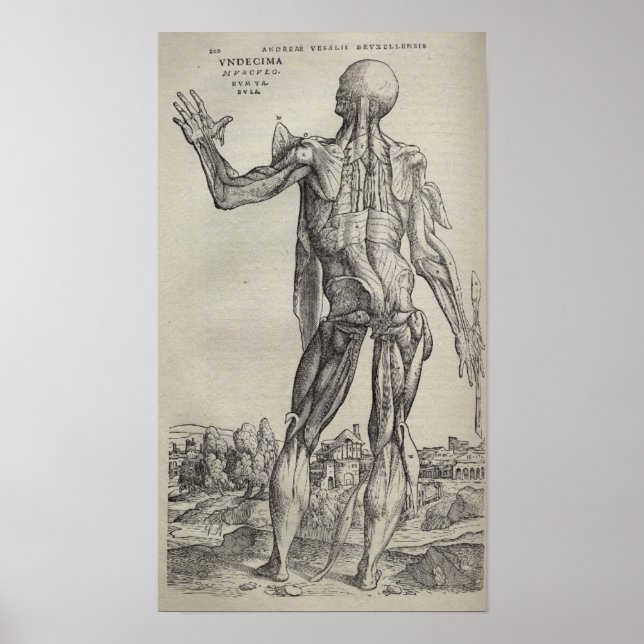 De Humani Corporis Poster (Front)