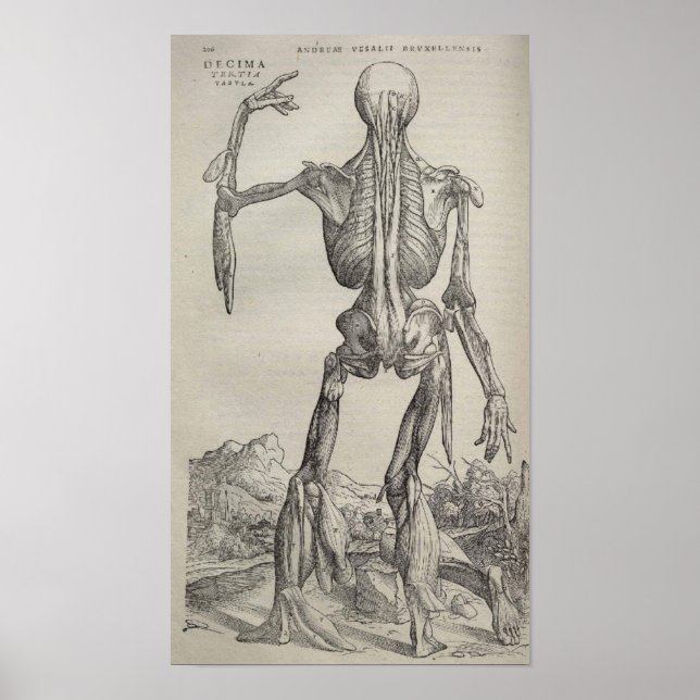 De Humani Corporis Poster (Front)