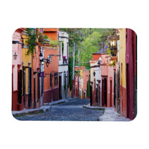 De Sollano Street, San Miguel De Allende Magnet
