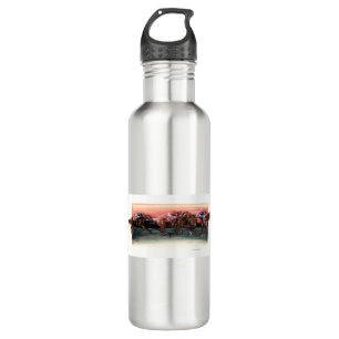 DEA25 Horse Race.tif 710 Ml Water Bottle