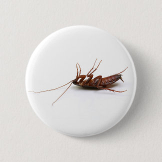 Dead cockroach 6 cm round badge
