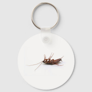 Dead cockroach key ring