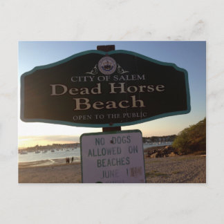 Dead Horse Beach Sign Salem MA Photo Postcard