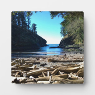 Dead Man's Cove, Cape Disappointment, WA Plaque