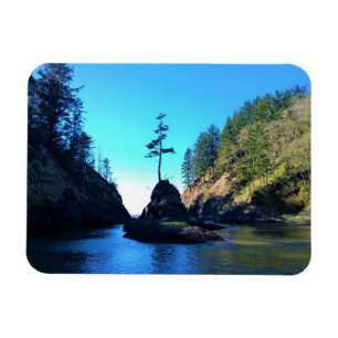 Dead Man's Cove, Cape Disappointment, Washington Magnet