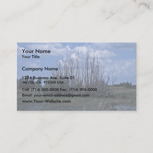 Dead melaleuca business card (Front)