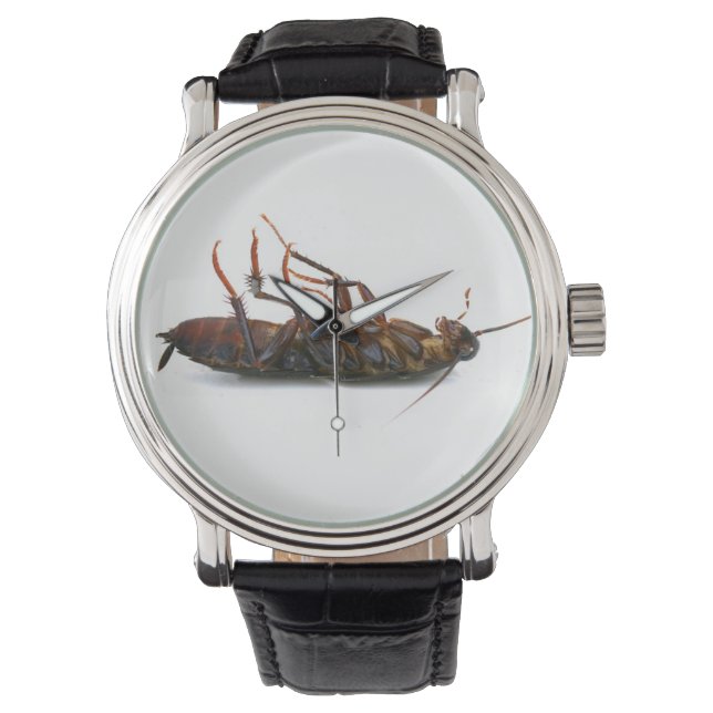 Dead roach watch (Front)