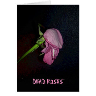 Dead Roses: The bloom is off the blossom, baby.
