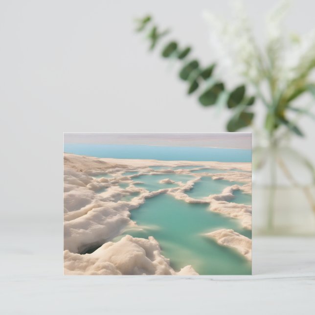 Dead sea in Israel Postcard (Standing Front)