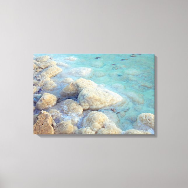 Dead Sea Israel Canvas Print (Front)