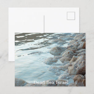 Dead Sea Israel Postcard