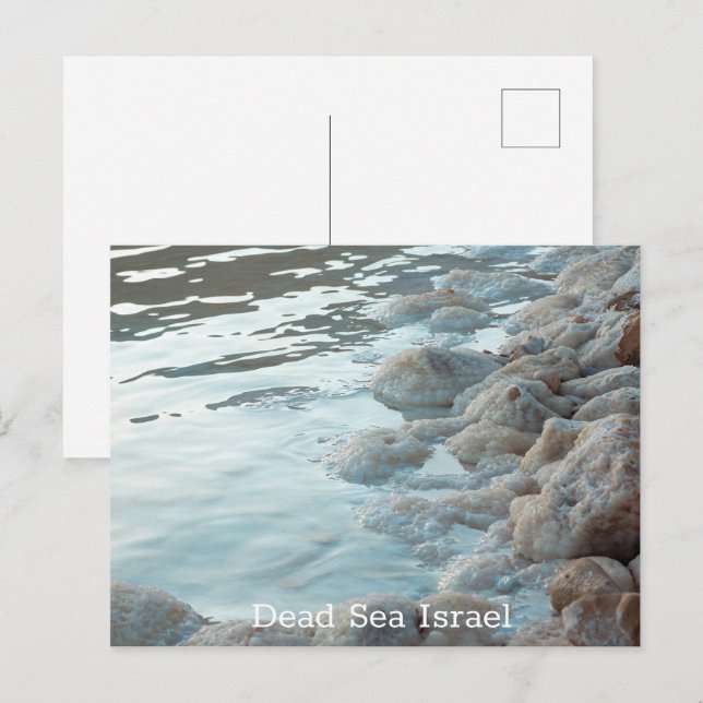 Dead Sea Israel Postcard (Front/Back)