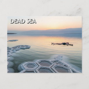 Dead Sea Jordan Travel Postcard