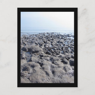 Dead Sea Postcard
