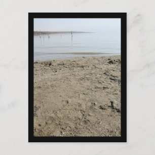 Dead Sea Postcard