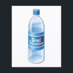 Dead Snowman Melted Bottled Water Flyer<br><div class="desc">100% All-Natural melted holiday snow man.  Perfect refreshment is coming your way this (post) winter.  Technically that would make it spring water.</div>