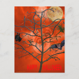 Dead Tree amongst an Orange Scary Sky Postcard