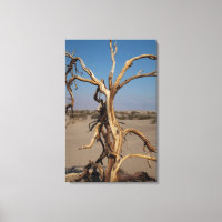 Dead Tree