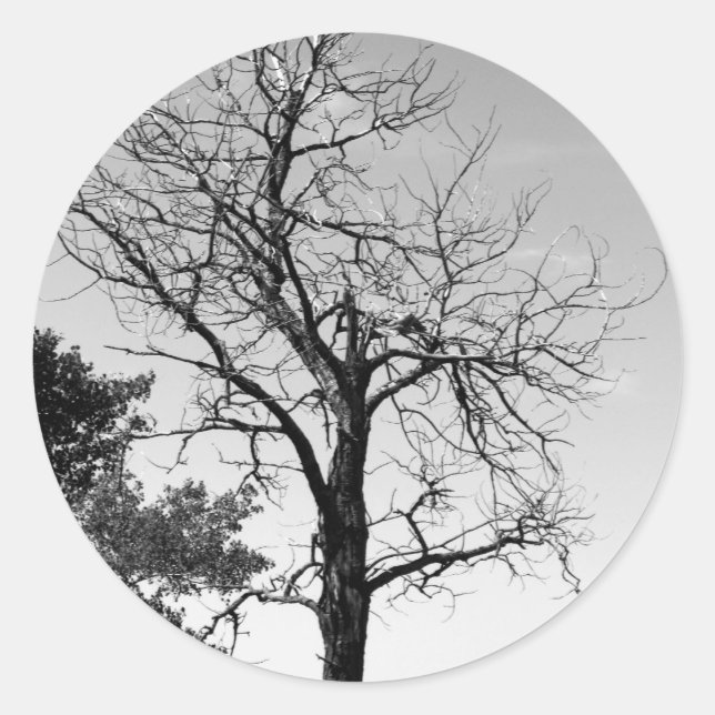 Dead tree classic round sticker (Front)