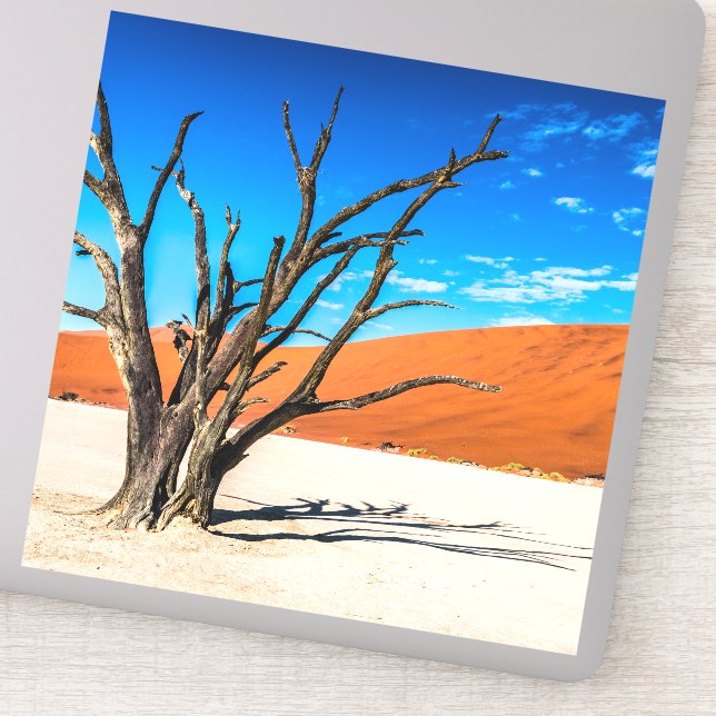 Dead tree in Deadvlei, Namibia (Detail)