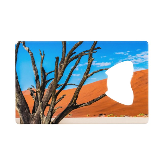 Dead tree in Deadvlei, Namibia (Back Horizontal)