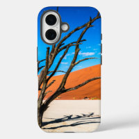 Dead tree in Deadvlei, Namibia