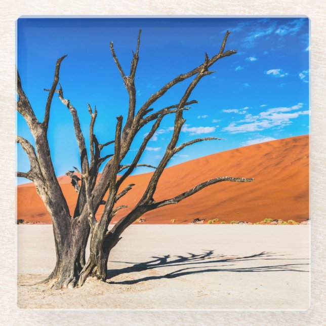 Dead tree in Deadvlei, Namibia Glass Coaster (Front)