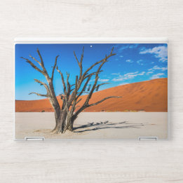Dead tree in Deadvlei, Namibia HP Laptop Skin