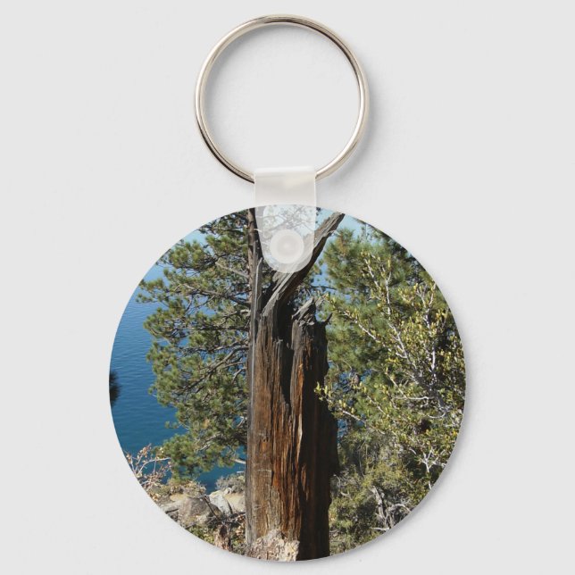 Dead Tree Key Ring (Front)