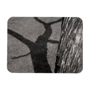 Dead tree magnet