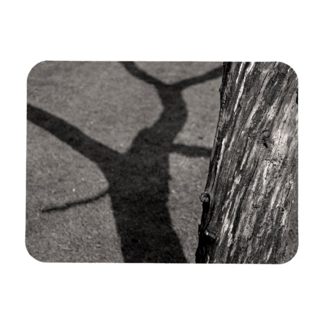 Dead tree magnet (Horizontal)