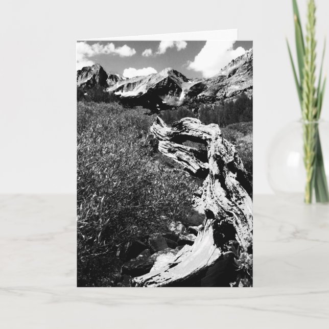 Dead Tree Mountains, Black and White, Blank Inside Card (Front)