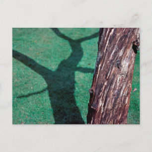 Dead tree postcard