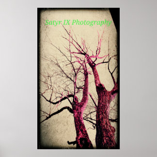 Dead Tree Poster