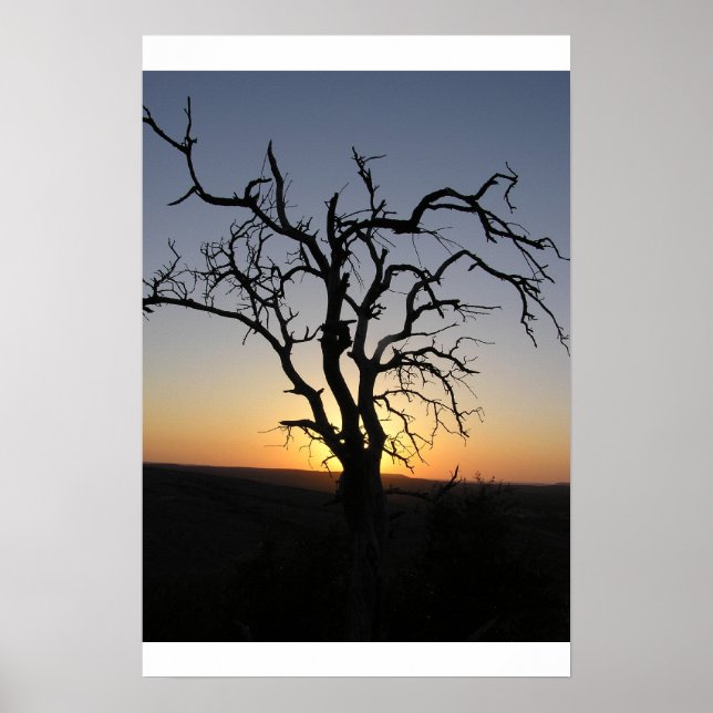 Dead_Tree_Sunset_Erock Poster (Front)